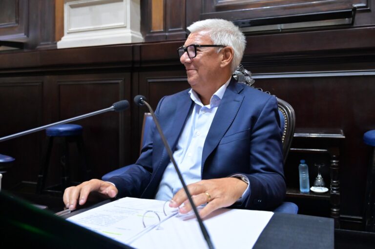 El diputado Alejandro Dichiara en el recinto de la Cámara de Diputados bonaerense durante la sesión en la que se aprobó el proyecto para hacer permanentes los beneficios fiscales en el sur bonaerense.