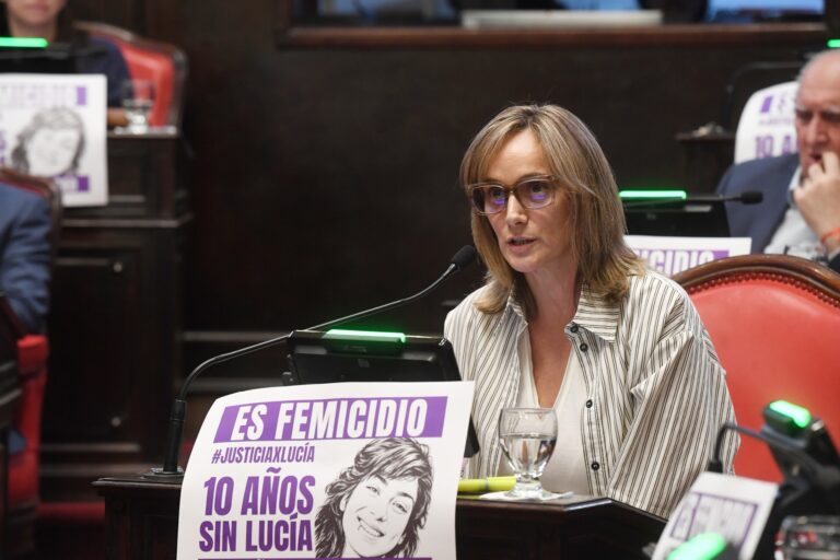 Malena Galmarini habla en el recinto del Senado bonaerense durante el tratamiento de la Ley de Educación Emocional.