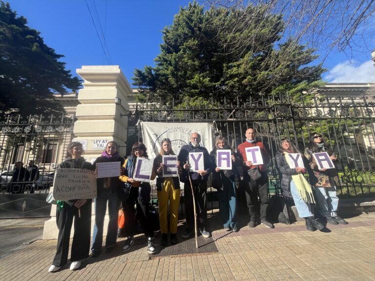 Acompañantes terapéuticos en lucha: “Hace 15 años que peleamos por esta ley”