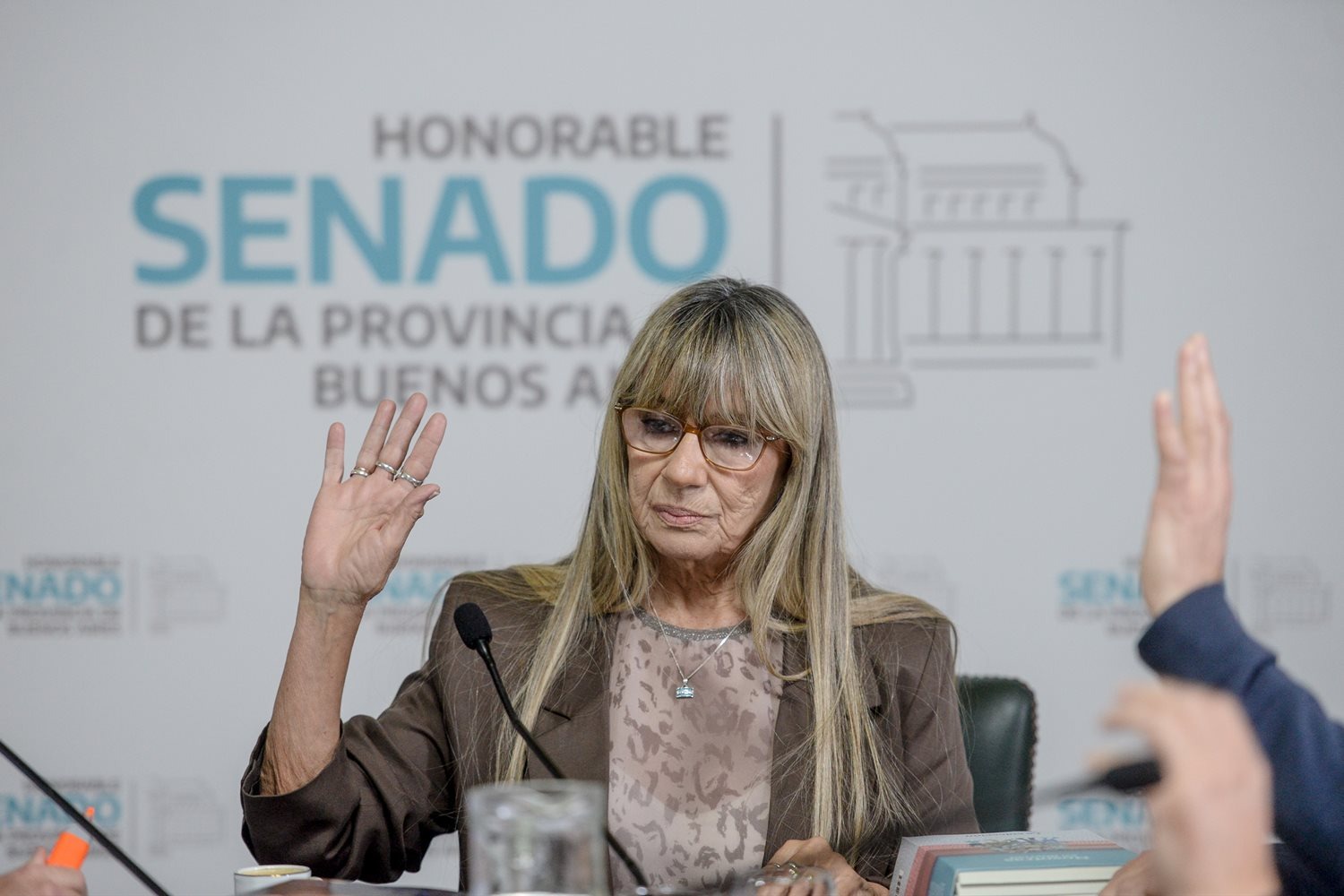 Laura Clark durante la aprobación de la Ley Ema en el Senado bonaerense